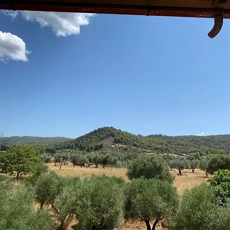 Aphrodites Gardens